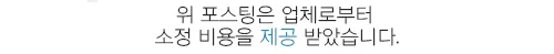 부천 24시동물병원, 응급 수술부터 맞춤 케어까지 2026년 총정리 — 반려동물 — ssilver2712