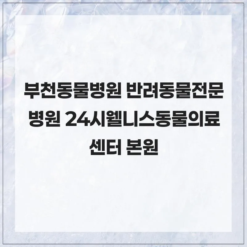 부천 24시동물병원, 응급 수술부터 맞춤 케어까지 2026년 총정리 2