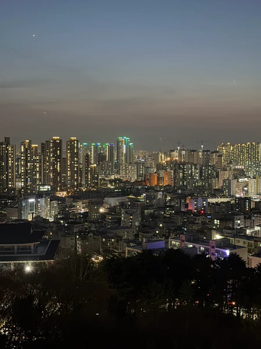 인천 수봉공원 벚꽃 명소 2026: 스카이워크 야경과 주차 꿀팁 — 한국여행 — jeehye9191
