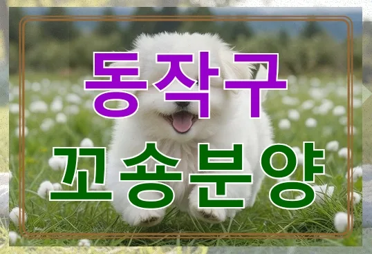동작구 꼬숑분양 업체 선택 가이드 2026: 비교 기준과 지역 특성