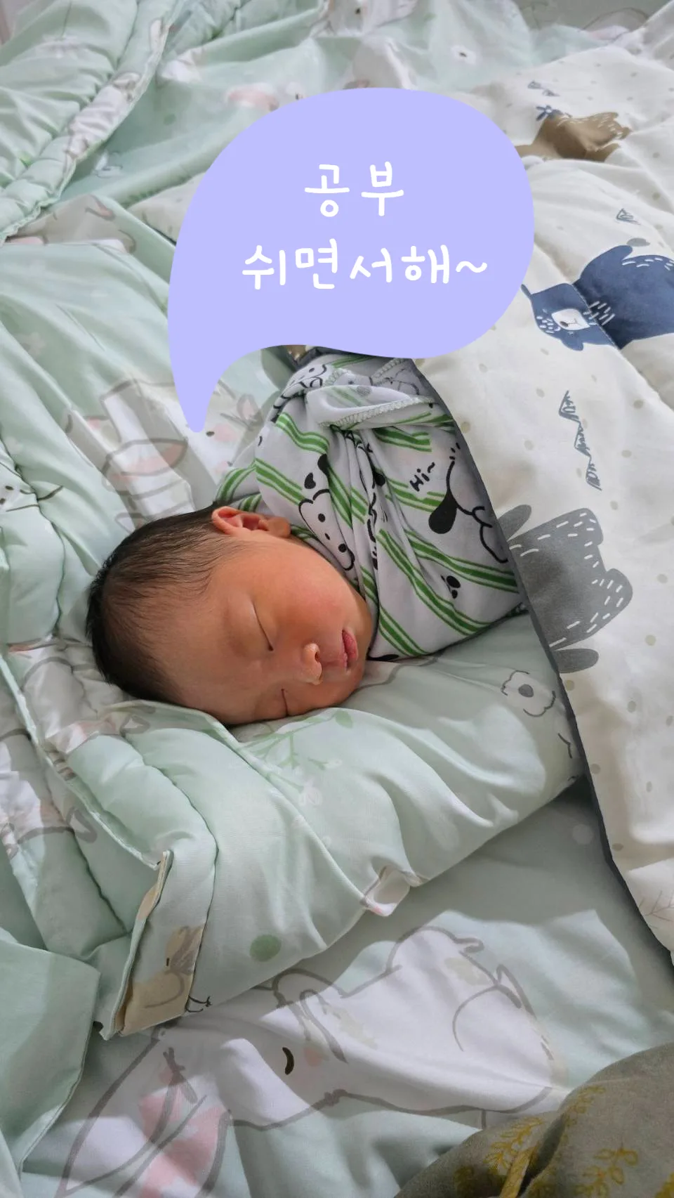 매일 5단어 중국어 습관 2026: 말하는 중국어 기초 정복 3