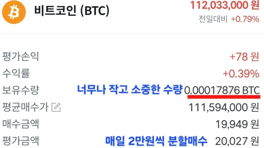 비트코인, 달러 패권 흔들리는 시대의 필수 투자 2026