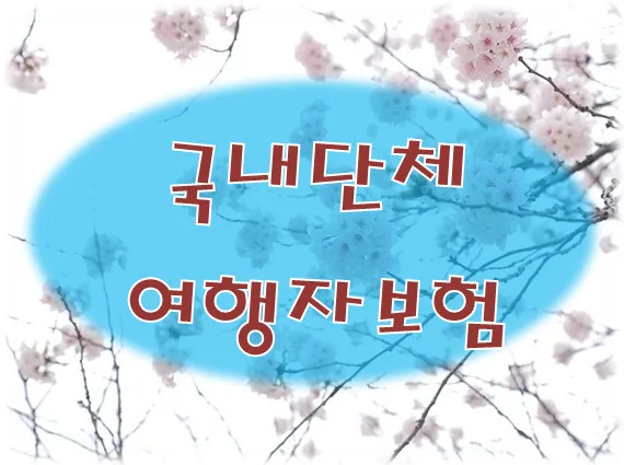 2026년 단체여행자보험 완벽 가이드: MT, 동호회 가입 꿀팁 — 비즈니스·경제 — onnuri1989