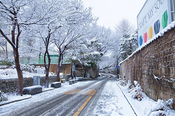 태아보험 22주 전 가입 필수? 보장 만기 결정 팁 2026 2