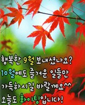 대전 영어 인터뷰 1:1 강의, 2026년 합격 전략 완벽 분석 2