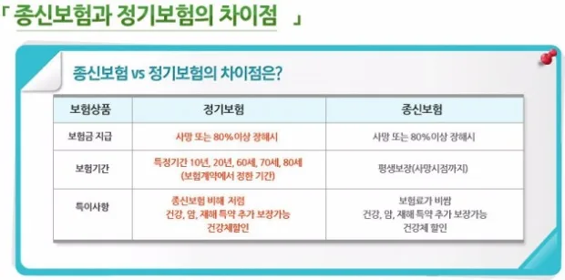 정기보험 vs 종신보험 2026: 사회초년생 사망보험 비교 분석