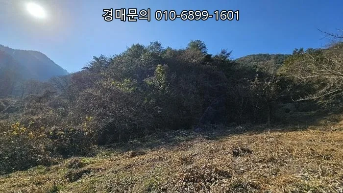 3만 평 창원 임야 경매, 2026년 투자 가치 분석 및 주의점 2