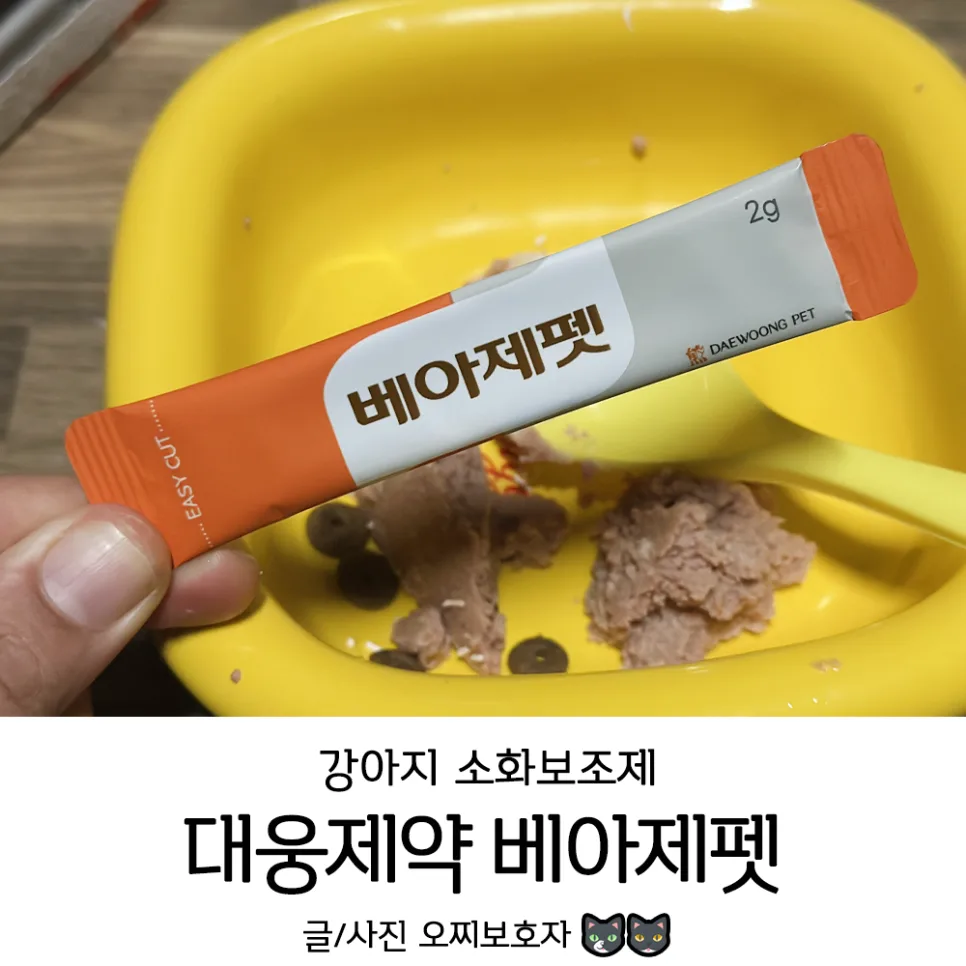 강아지 설사 멈추는 법: 베아제펫 급여 후기 2026 3