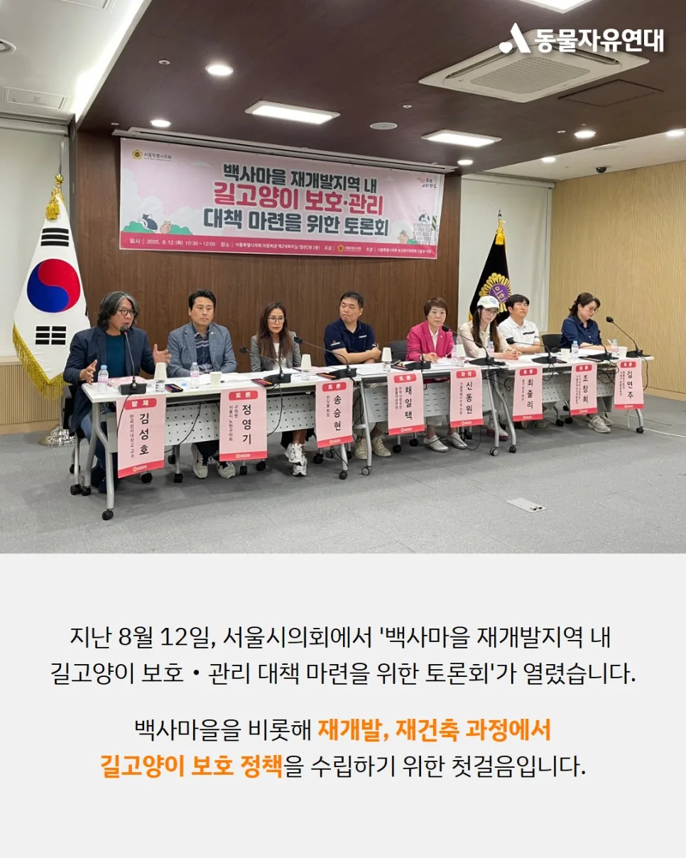 재개발 고양이 이주 대책 2026: 비용, 조건, 성공 사례 총정리 3