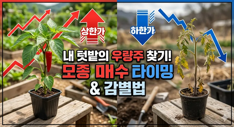 텃밭 모종 고르는 법 2026: 수익률 1000% 보장 우량주 선별법 — 원예·재배 — soho1975e
