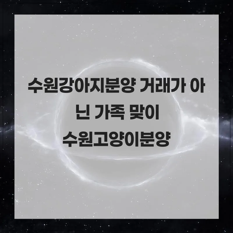 수원 고양이 분양, 가족 맞이 위한 똑똑한 선택 2026 2