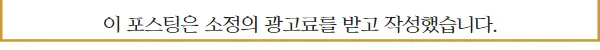 잠실 고양이 분양 2026: 건강한 반려묘 찾는 5가지 방법