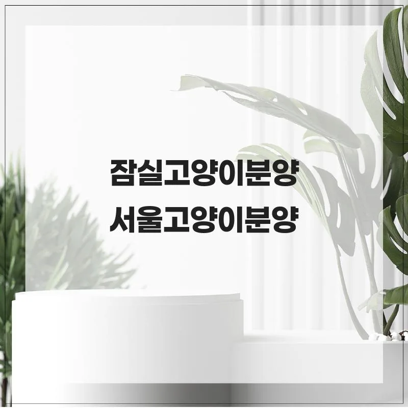 잠실 고양이 분양 2026: 건강한 반려묘 찾는 5가지 방법 3