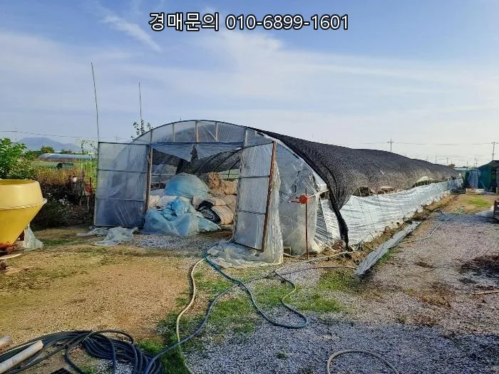 부산 강서구 토지 경매 2026: 법정지상권·농취증 해결법 2