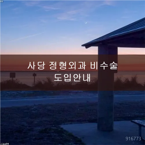 사당 정형외과 비수술 통증관리 2026: 빠른 일상 복귀 가이드 — 건강·의학 — afomhymhjp590