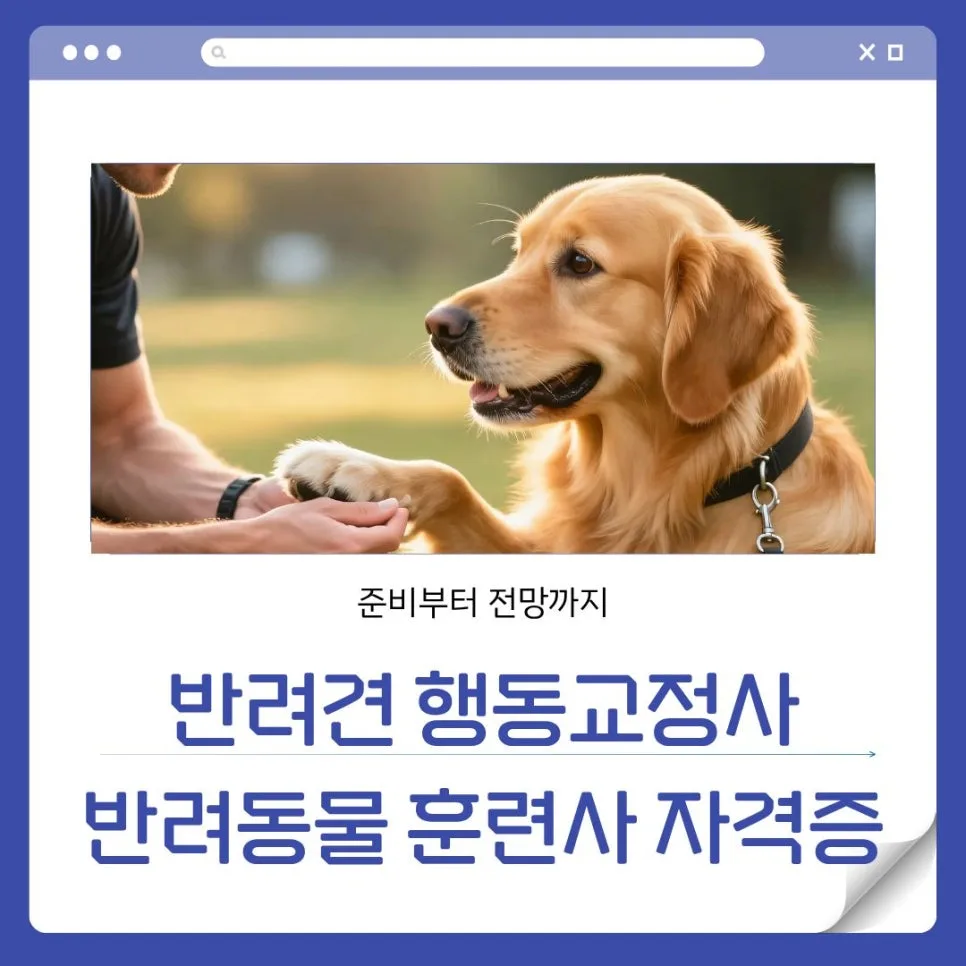 반려견 행동교정사 자격증 전망과 취업 성공 전략 2026 — 반려동물 — kumh