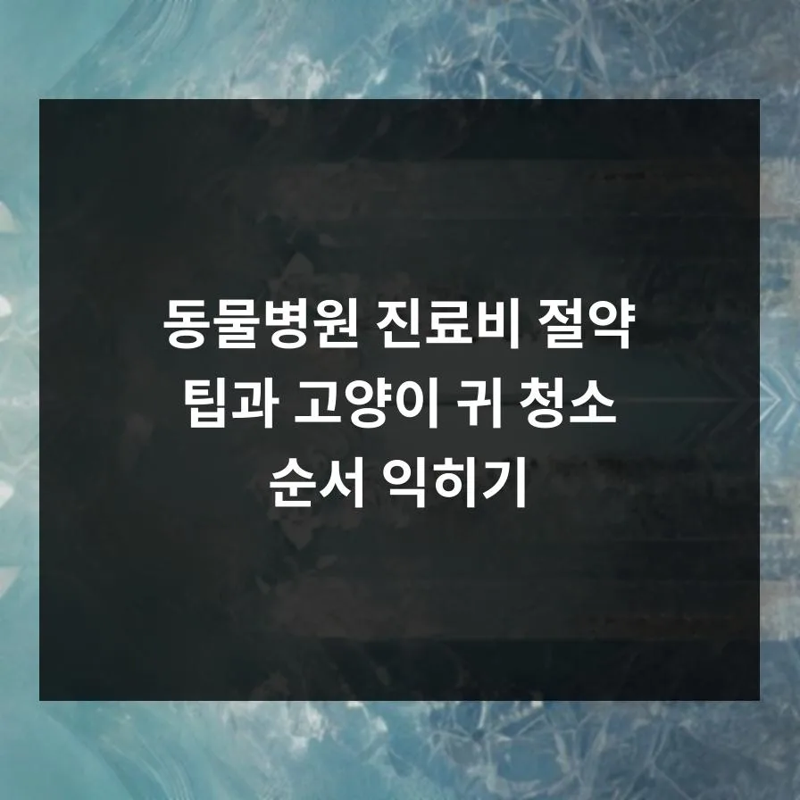 2026년 동물병원 진료비 절약 노하우: 고양이 귀 청소법 포함 3
