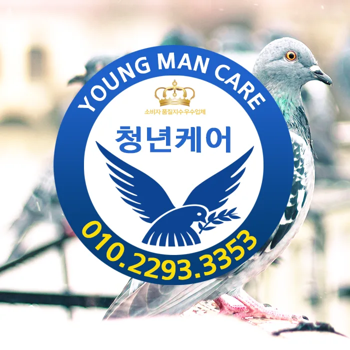 Pigeon Proofing Your AC Unit: Seoul Apartment Guide 2026