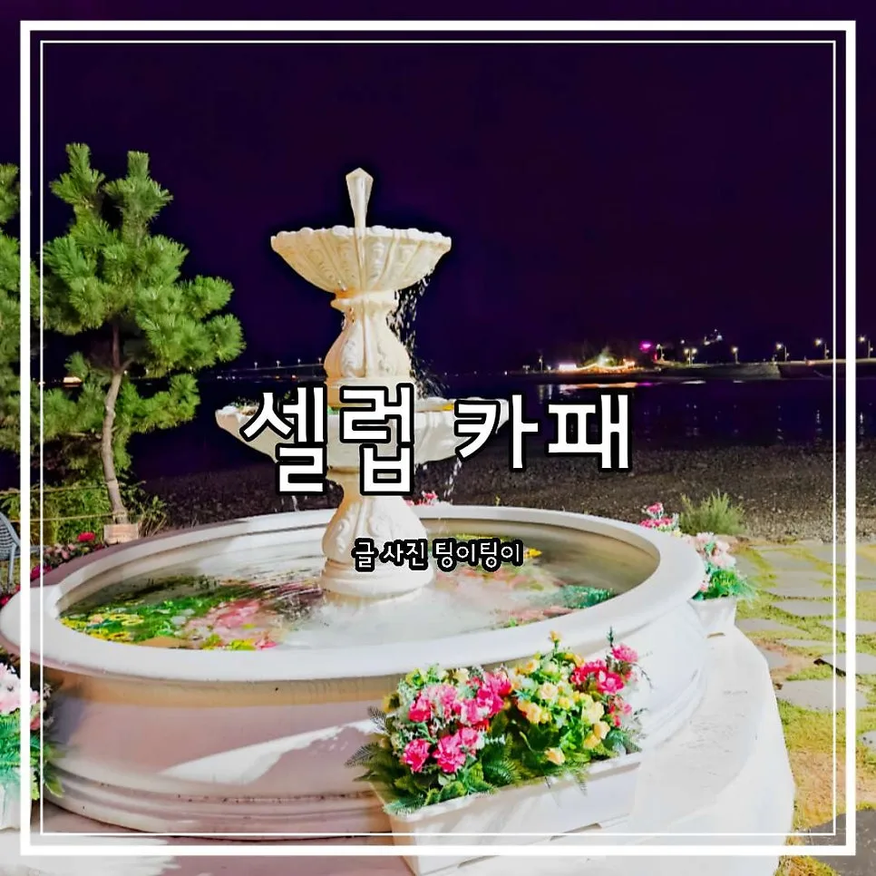 영종도 바다뷰 카페 셀럽 2026: 오션뷰와 베이커리 경험 후기 — K-푸드·맛집 — cpfmlfkrh