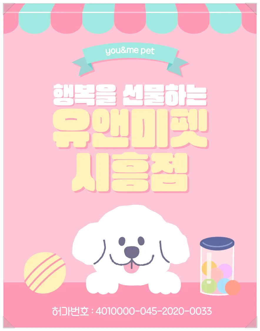 분당 푸들 분양 2026: 유앤미펫 경험 기반 건강 반려견 찾는 법