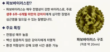강아지 파보바이러스, 생존율 높이는 핵심 정보 2026년 총정리 3