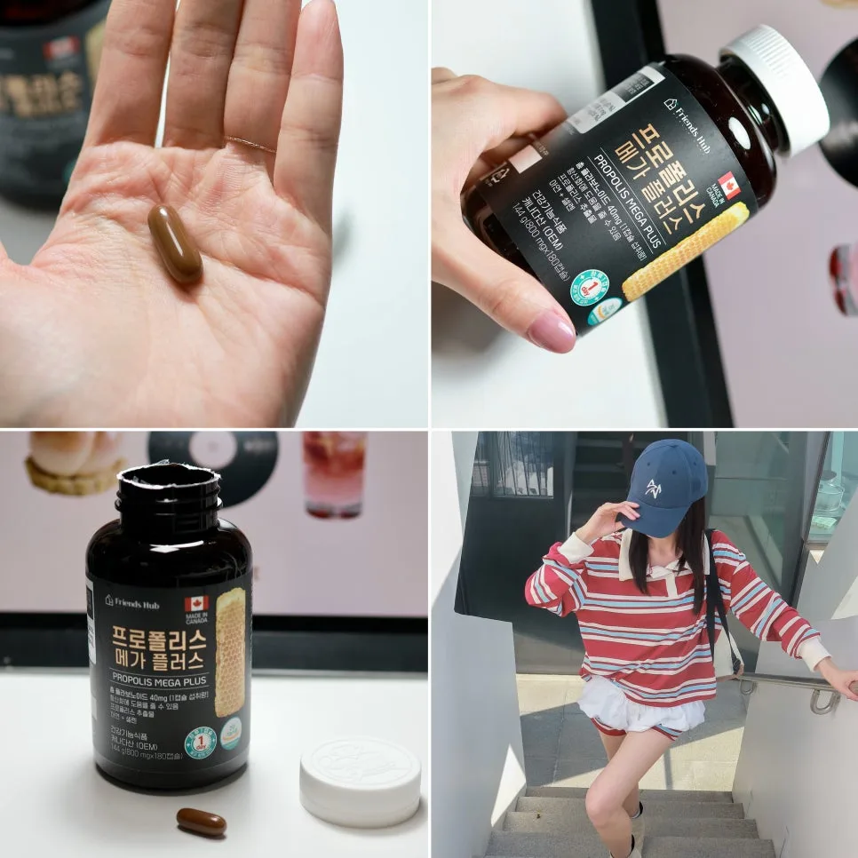 프로폴리스 플라보노이드 40mg, 면역력 강화 효과와 섭취 가이드 2026 — 건강·의학 — rananan 1