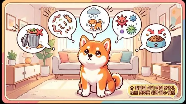 강아지 설사 원인 5가지와 대처법 2026년 총정리