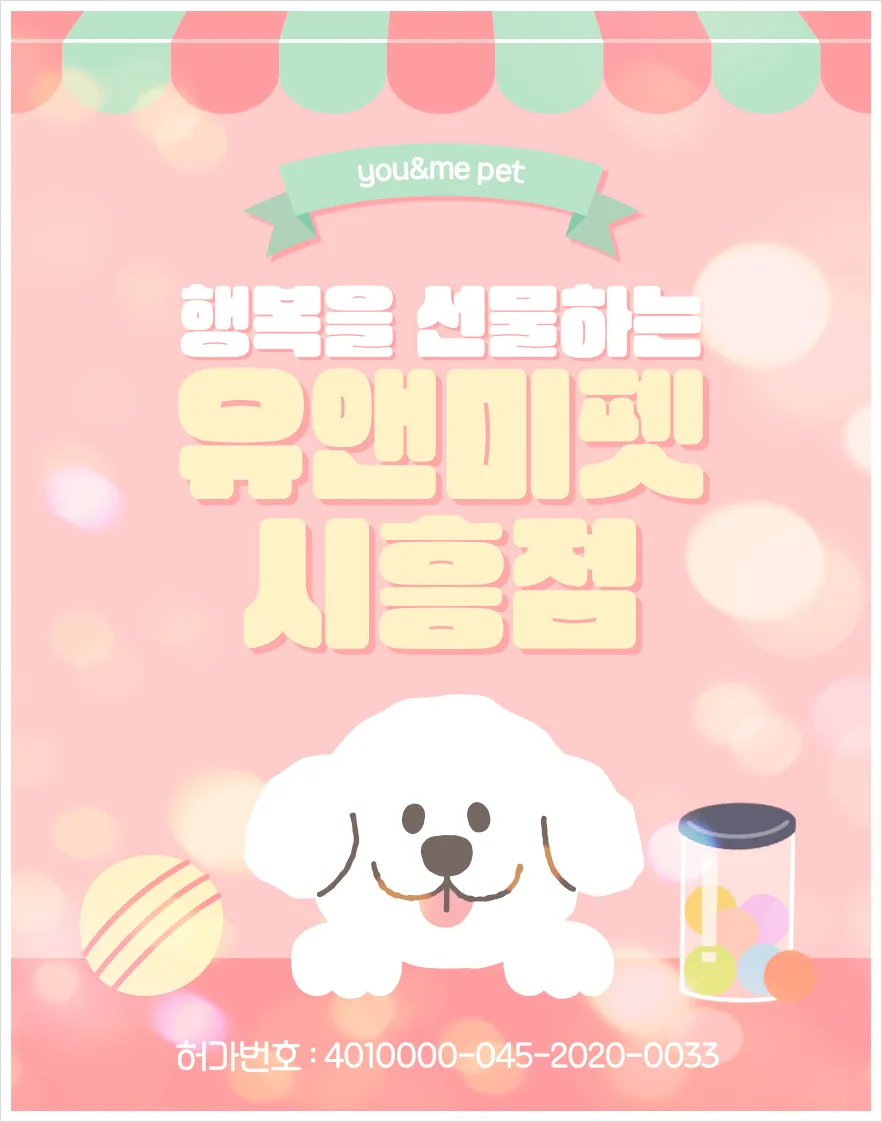파주 포메라니안 분양 2026: 유앤미펫 건강한 입양 후기 및 주의사항
