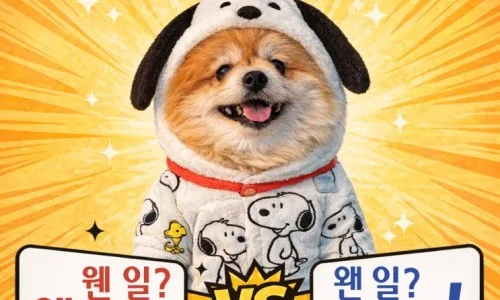 피폐 vs 피패: 2026년, 헷갈리는 맞춤법 완벽 정리 3