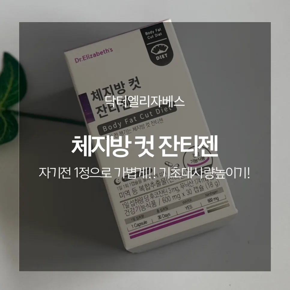 닥터엘리자베스 잔티젠 2026: 체지방 감소 효과와 섭취법 총정리 — 건강·의학 — catharsis486