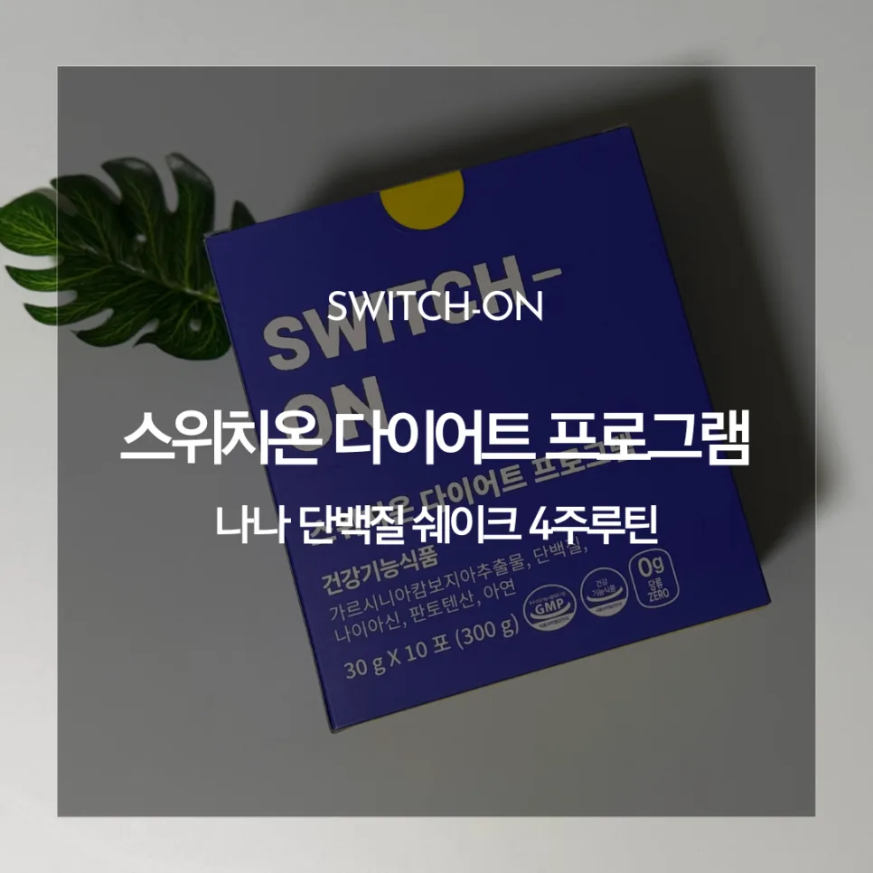 나나 다이어트 스위치온, 2026년 효과적인 체지방 관리법 공개 — 건강·의학 — catharsis486