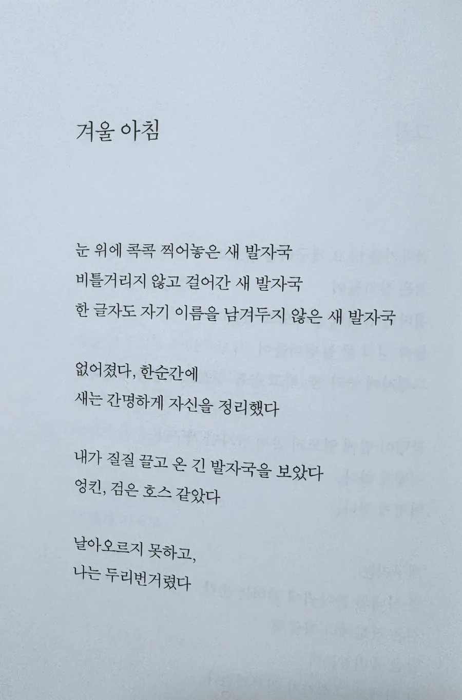 안도현 '겨울 아침' 시 해석: 인간 욕망과 새의 자유 비교 2026 2