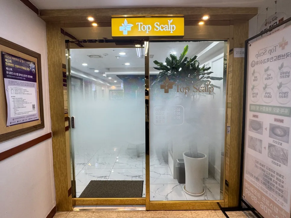 마포 두피 관리 2026: 탑스칼프 마포점 솔직 후기 및 효과 — 건강·의학 — bon_etoile