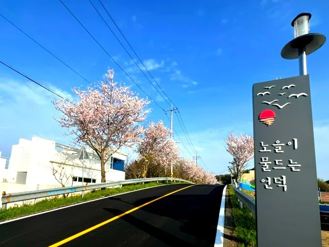 거제 가조도 벚꽃길 & 노을 명소 2026년 완벽 가이드 — 한국여행 — storypeechup