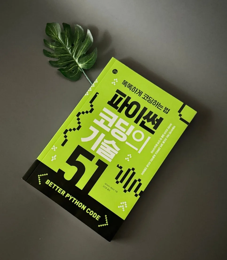 파이썬 코딩 기술 51가지: 중급 개발자를 위한 효율적인 코드 작성법 2026 — IT·테크 — catharsis486