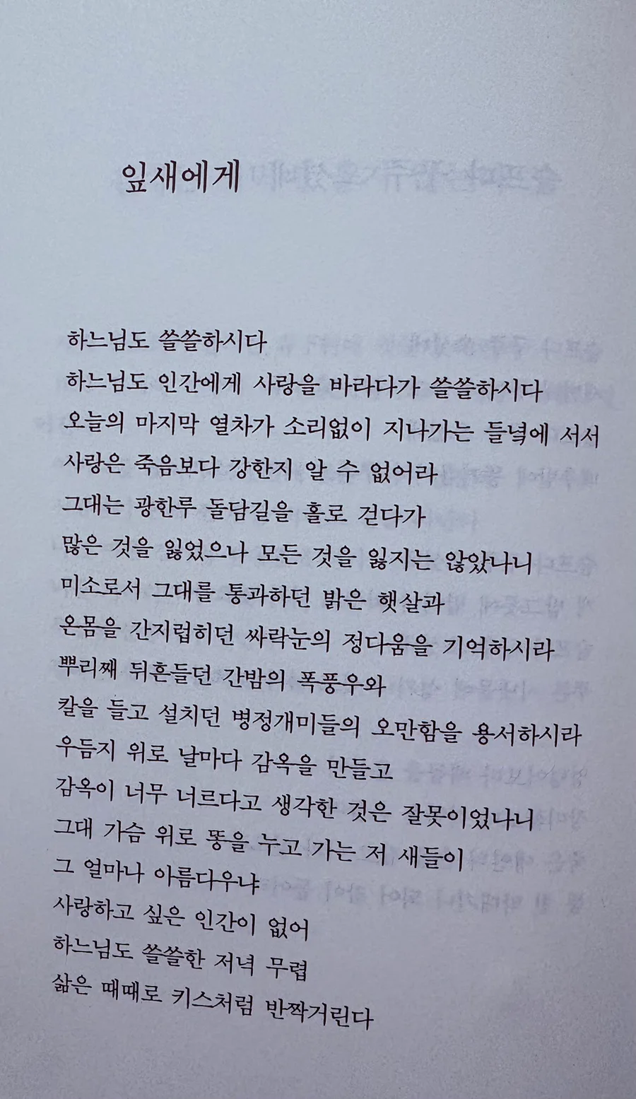 정호승 시 '잎새에게' 삶의 반짝임과 사랑의 의미 2026 3