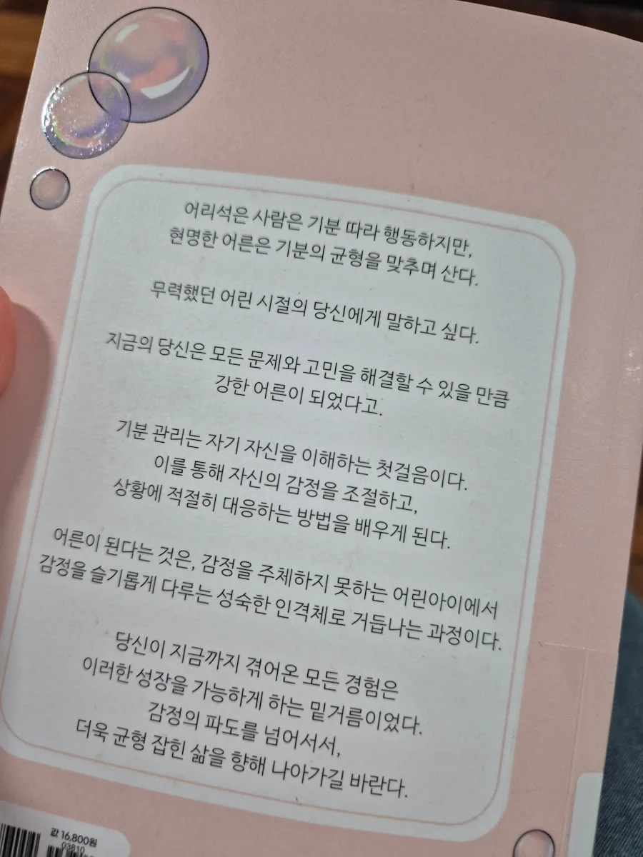 성숙한 어른의 기분 관리법 2026: 감정 조절 핵심 전략 2
