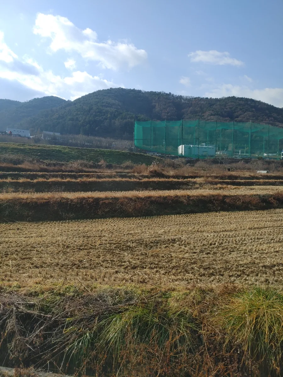 통영 12월 여행: 굴 제철 맞은 시장·야경 코스 2026 3