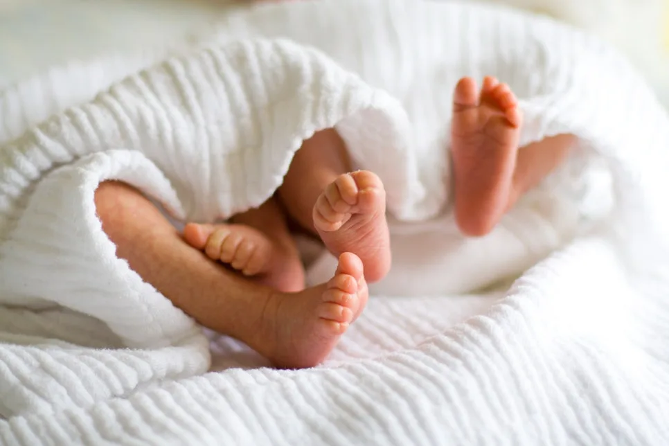 쌍둥이 태아보험, 2026년 가입 조건 및 주의사항 총정리 2