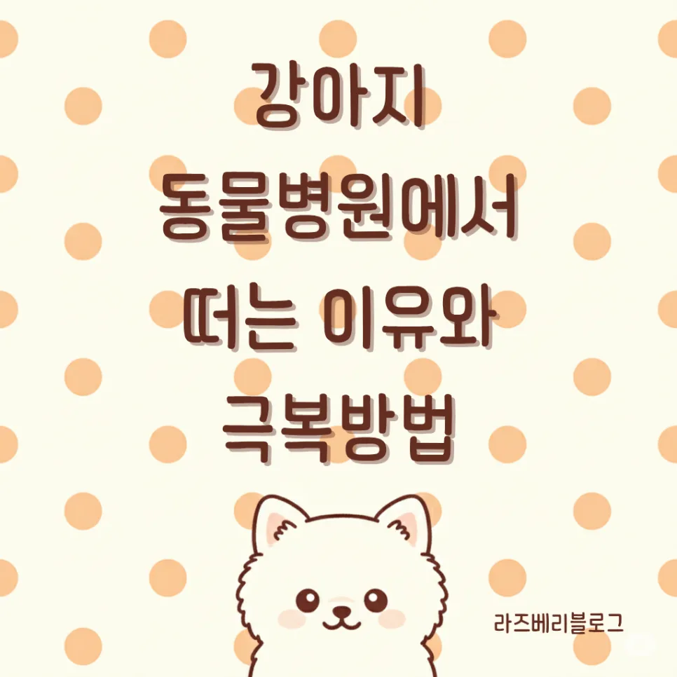 강아지 동물병원 떨림 이유와 극복법 2026: 경험자가 팁 공개