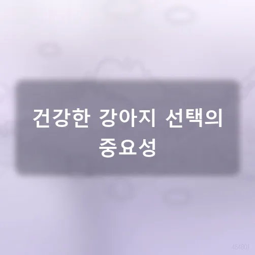 건강한 강아지 분양 2026: 믿을 수 있는 곳 찾는 법 완벽 가이드 2