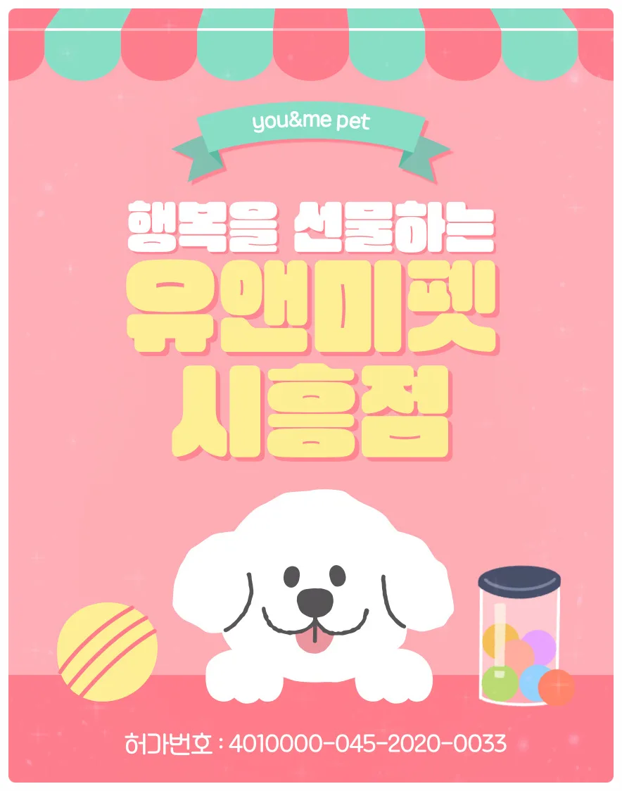 말티푸 입양 후기: 유앤미펫에서 건강한 반려견 찾는 법 2026