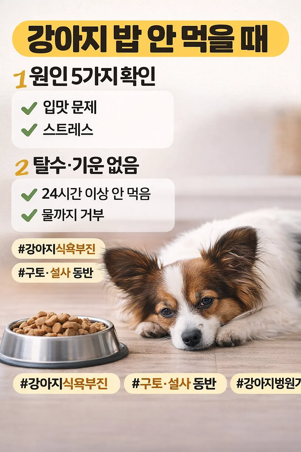 강아지 밥 안 먹을 때 원인 5가지와 병원 가야 할 때 2026