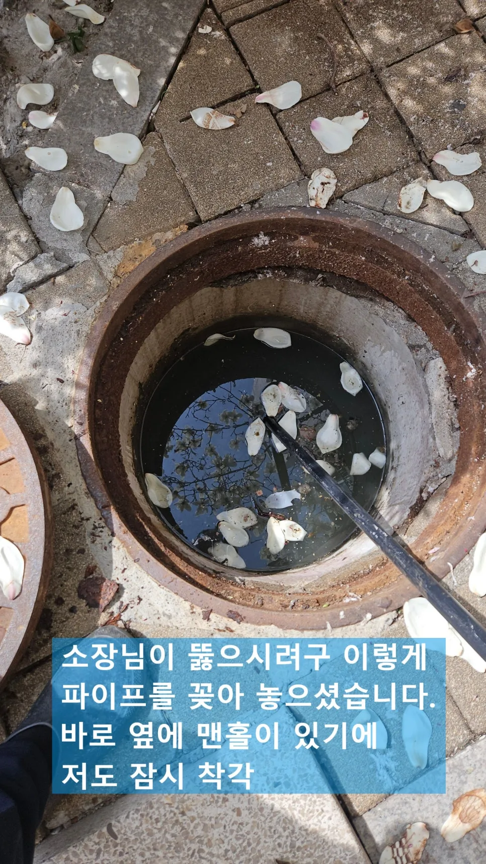 단대동 아파트 오수 맨홀 막힘 2026년 해결법: 역류 넘침 긴급 출동 후기 2