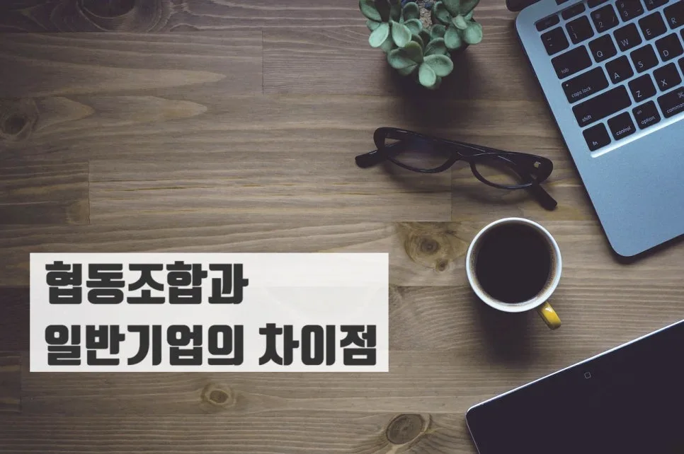 2026년 협동조합 설립 절차 완벽 가이드: 장점부터 주의점까지 2
