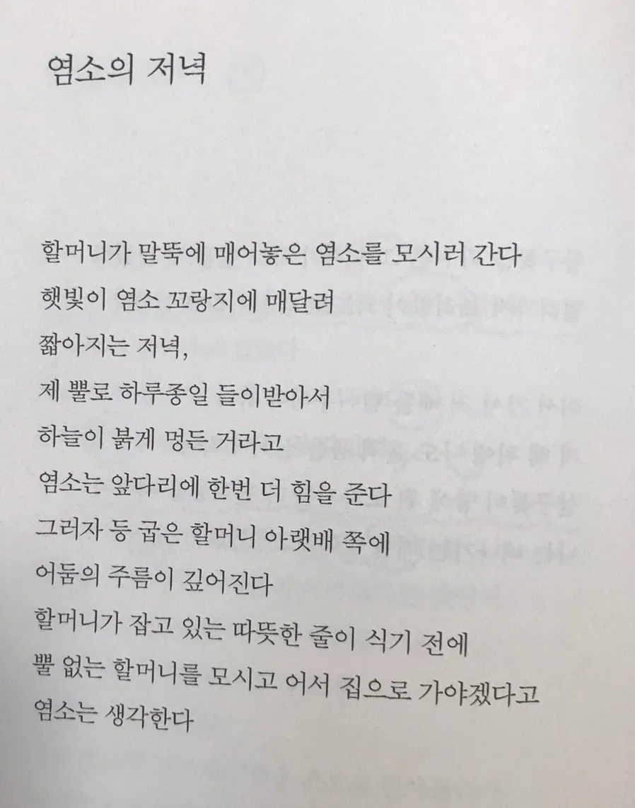 안도현 시 '염소의 저녁' 해석: 할머니와 염소의 교감 2026 3