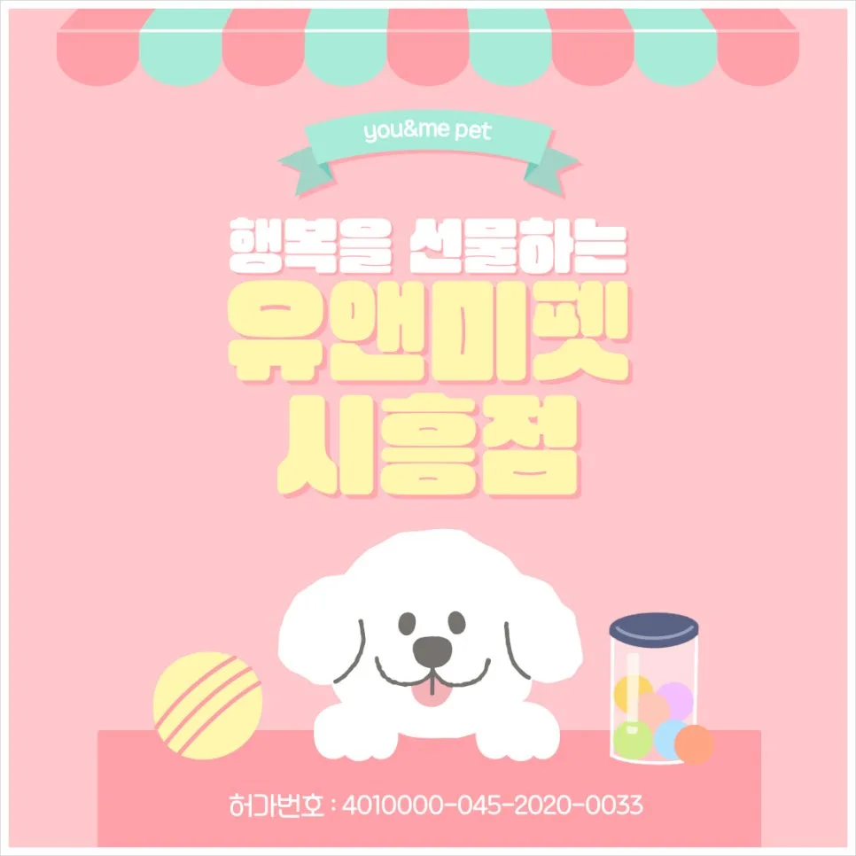 고양 비숑프리제 분양 2026: 유앤미펫 경험 기반 완벽 가이드