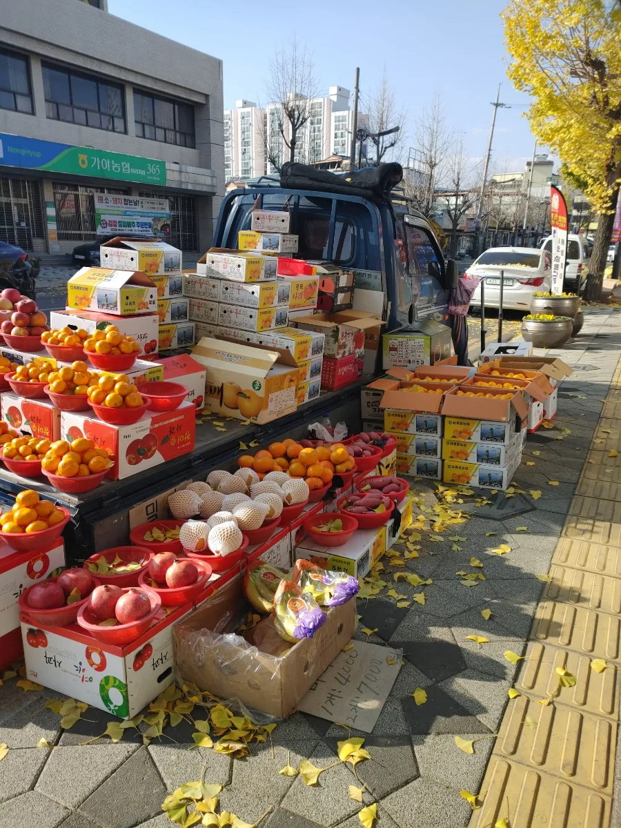 함안 가야시장 5일장: 2026년 가을, 놓치면 후회할 풍성한 장터 탐방 — K-푸드·맛집 — ojk84