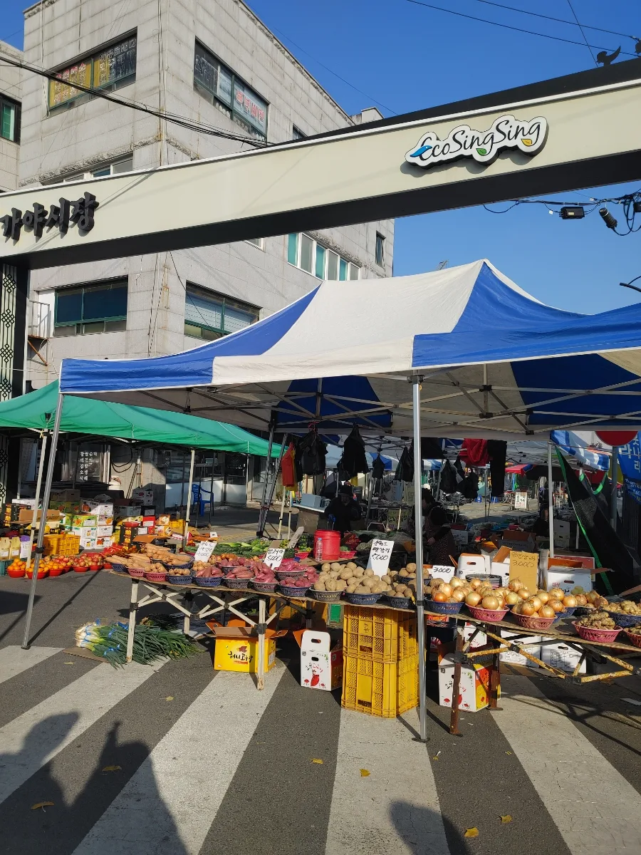 함안 가야시장 5일장: 2026년 가을, 놓치면 후회할 풍성한 장터 탐방 3