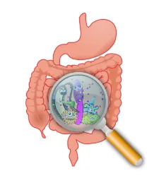 소화불량 설사 반복될 때 병원 가는 시점 2026년 총정리 2